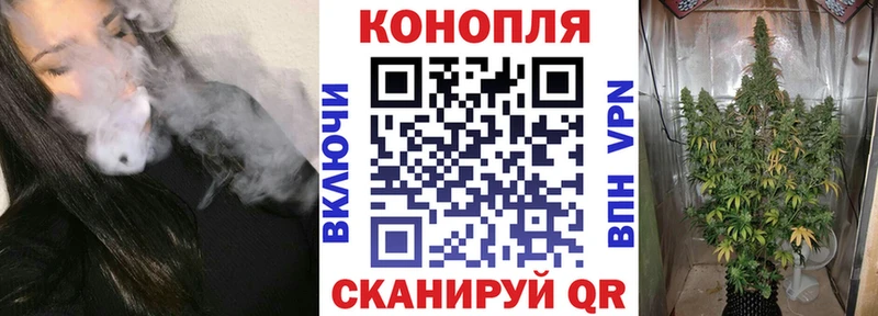 Где продают наркотики Удомля ГАШИШ  Марихуана  Меф 