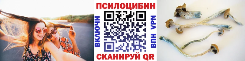 блэк спрут как зайти  Удомля  Галлюциногенные грибы мухоморы 